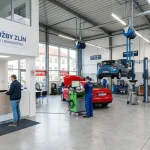 auto flégr